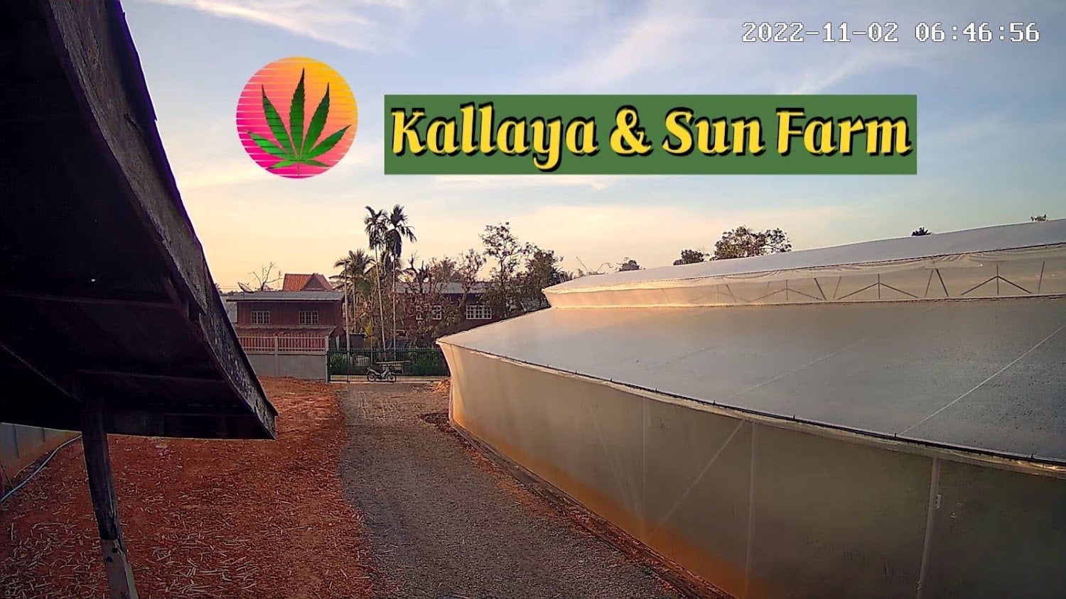 Kallaya & Sun Farm