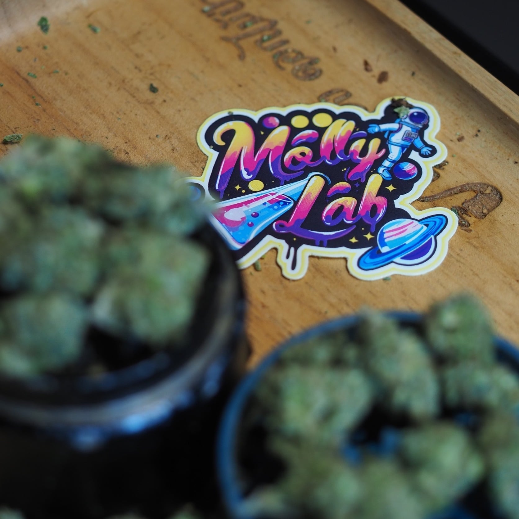 Molly Lab