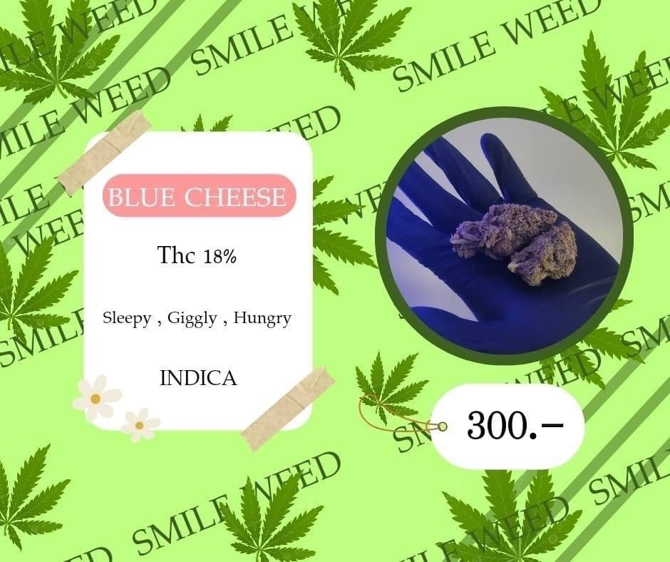 Smileweed)