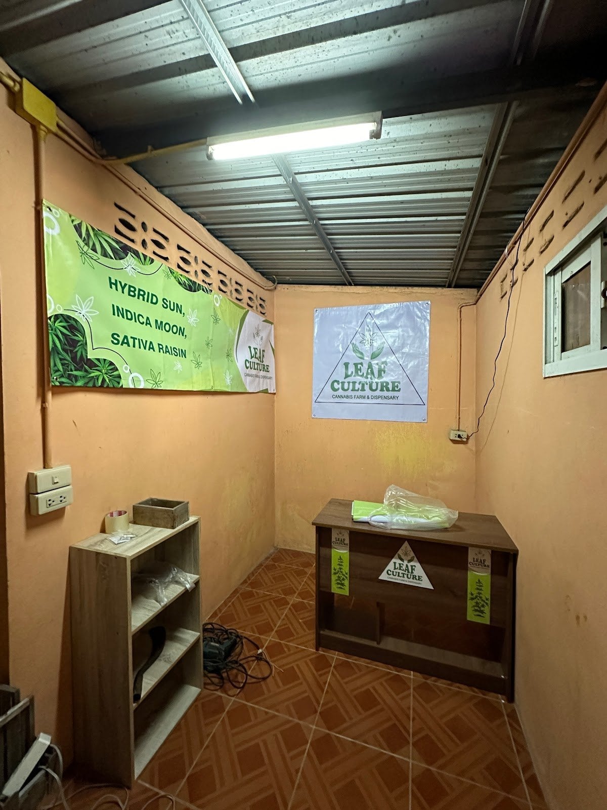 Leaf Culture
