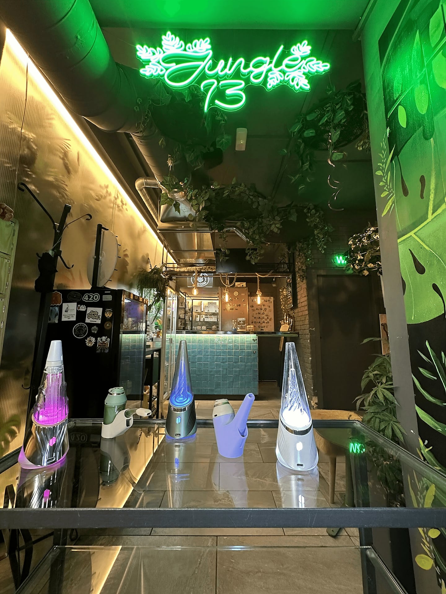 Jungle 13