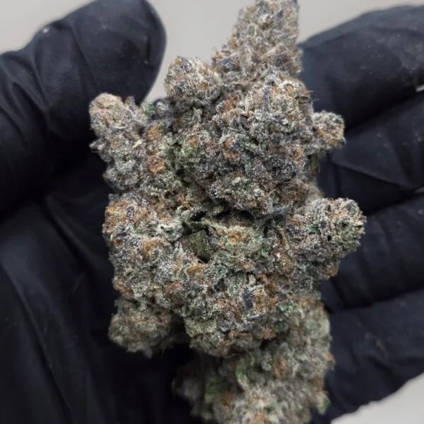 Cannabear