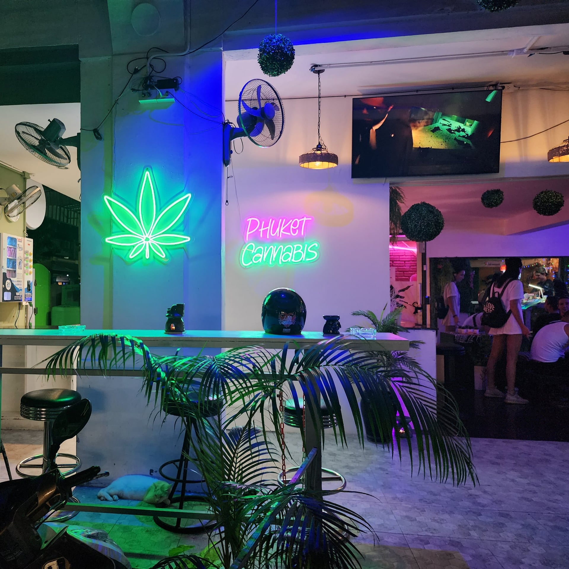 Phuket Cannabis Lounge