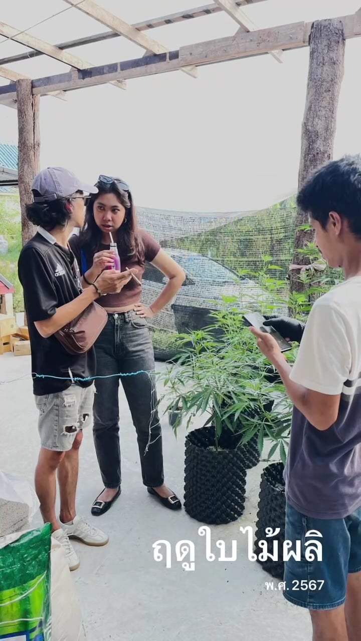 NGOGFarm
