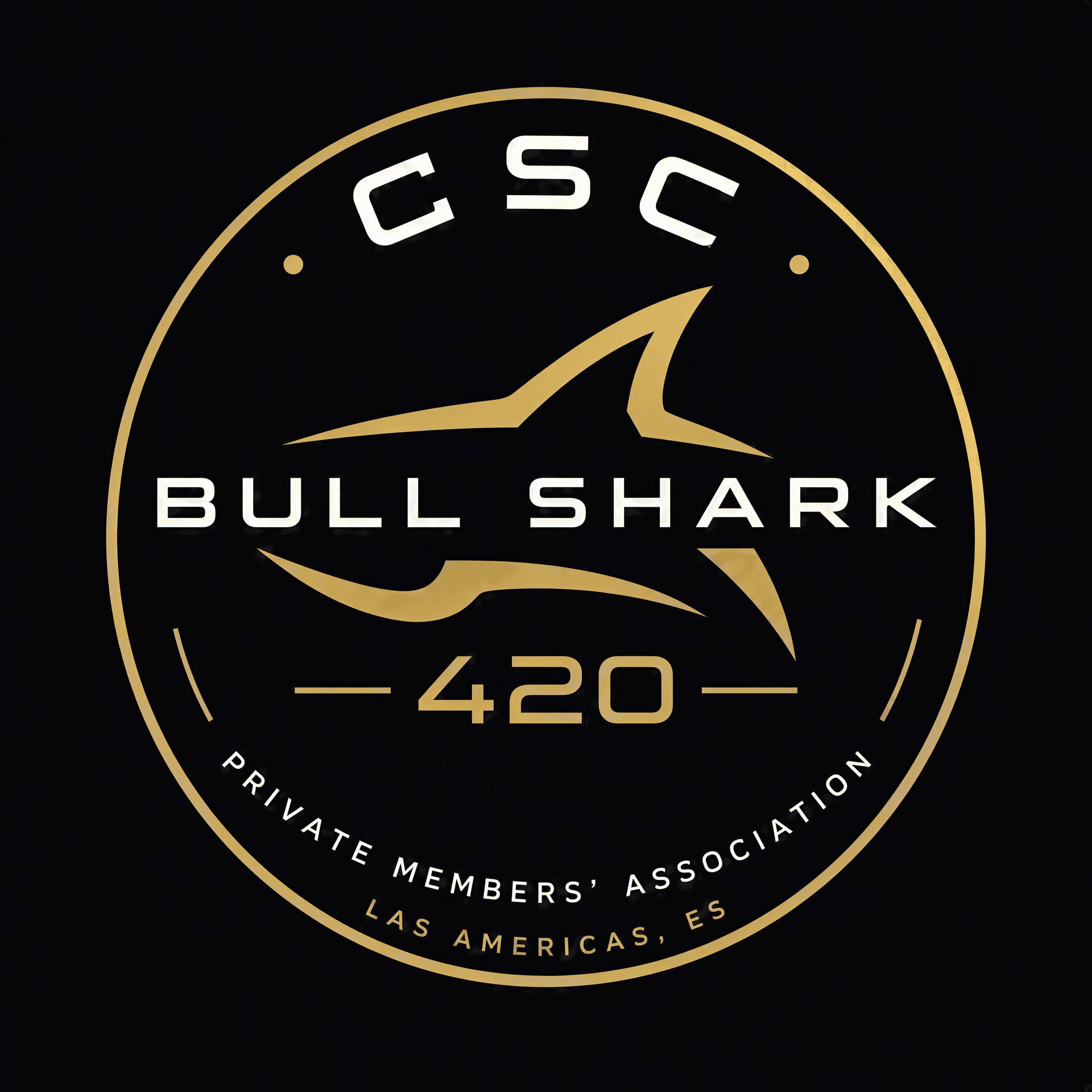 CSC BULL SHARK 420 logo