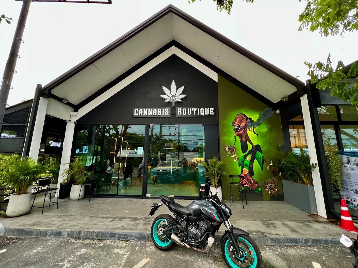 LV Cannabis Boutique - Cannabis Store In Bang Tao Phuket
