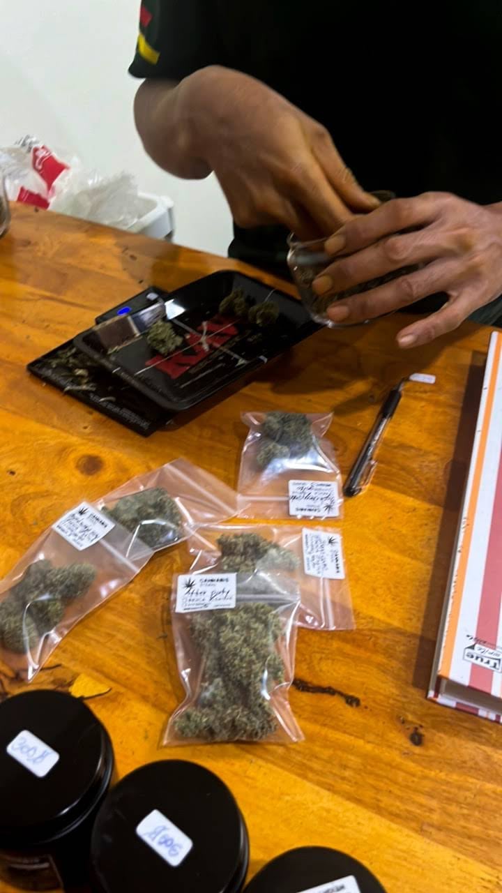 KT Farm Cannabis Shop Phatthalung