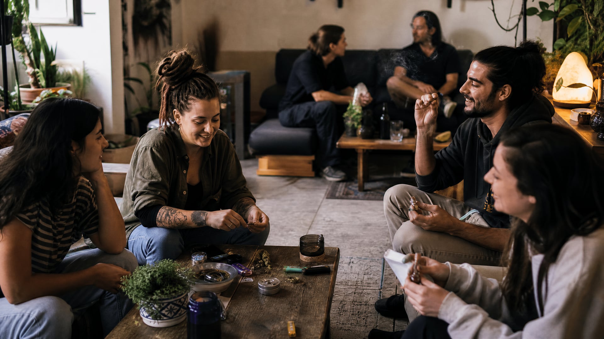 Cozy Palmanova members’ room with sofas, low tables, and cannabis social club talk