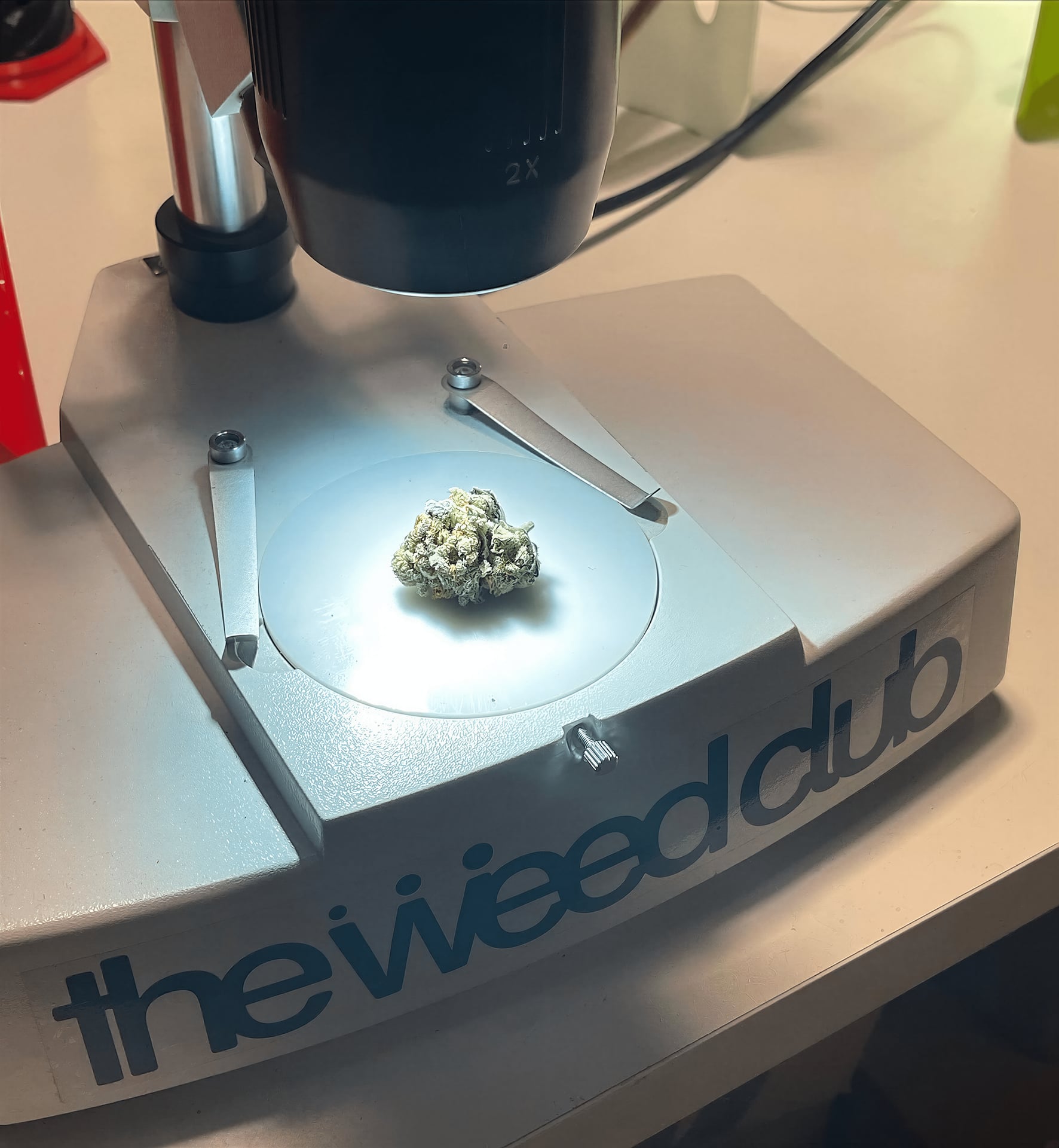 The Weed Club