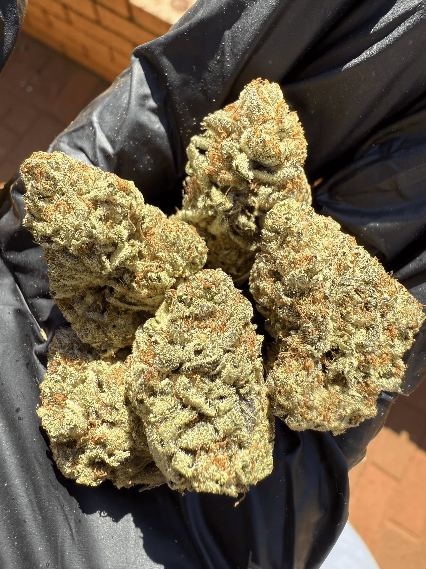 Madibaweeds