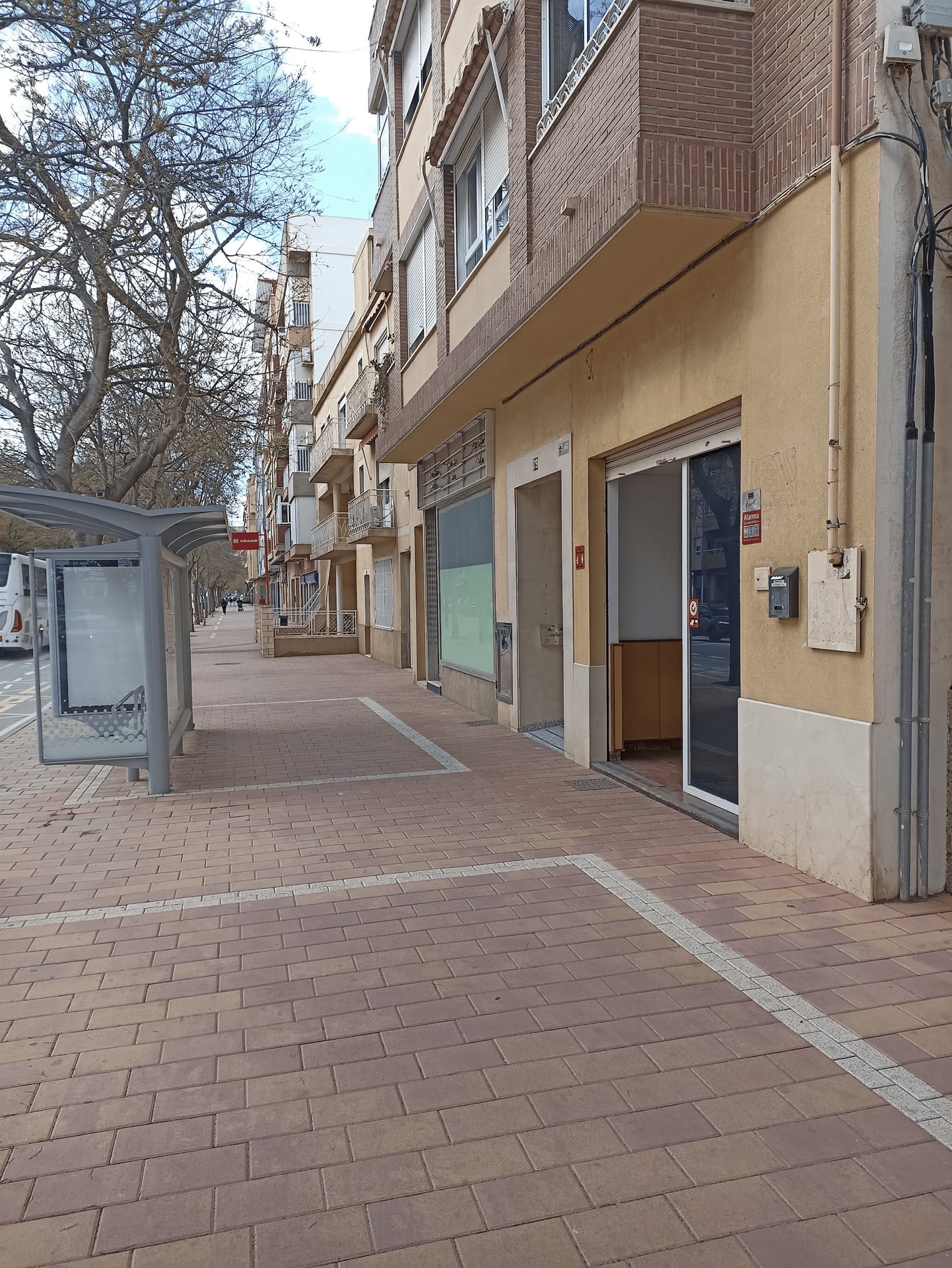 Greench Lorca