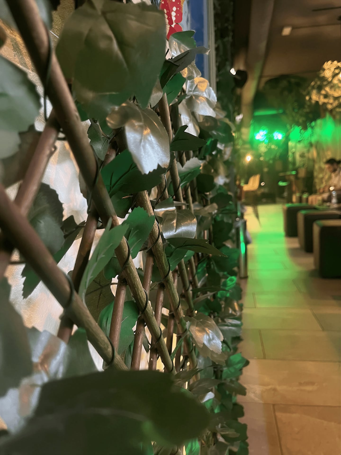 Jungle 13