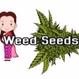Cannabis Social Club Weed Seeds logo