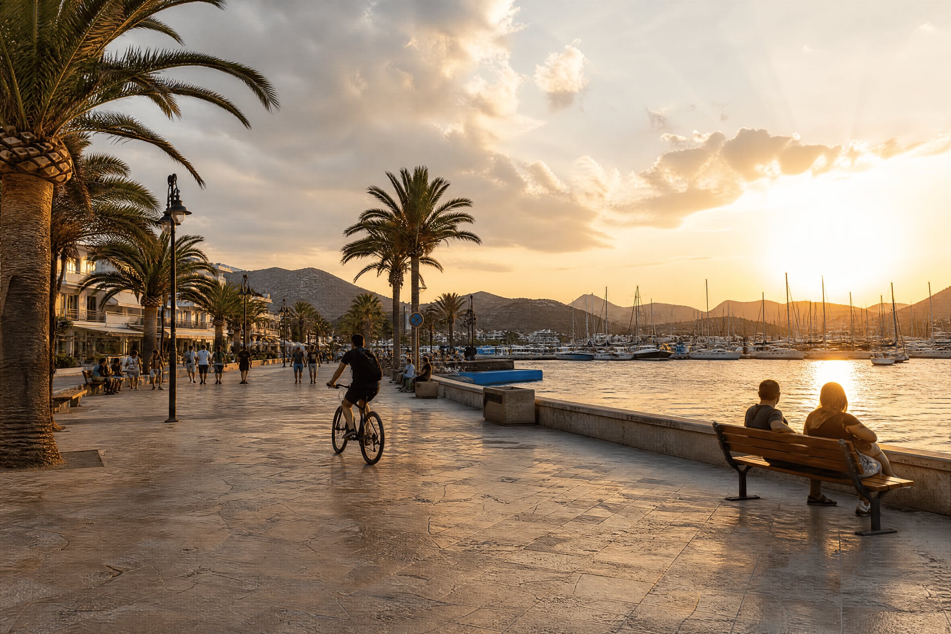 Port de Pollença waterfront promenade beside cannabis social club search context, lively evening light