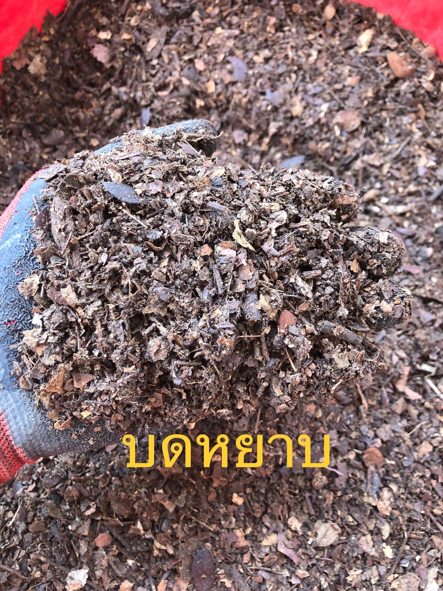 PT Garden