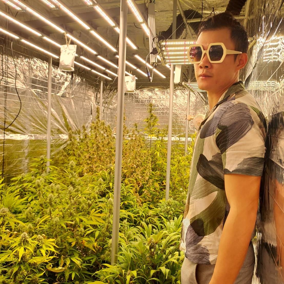 Green Lab CNX