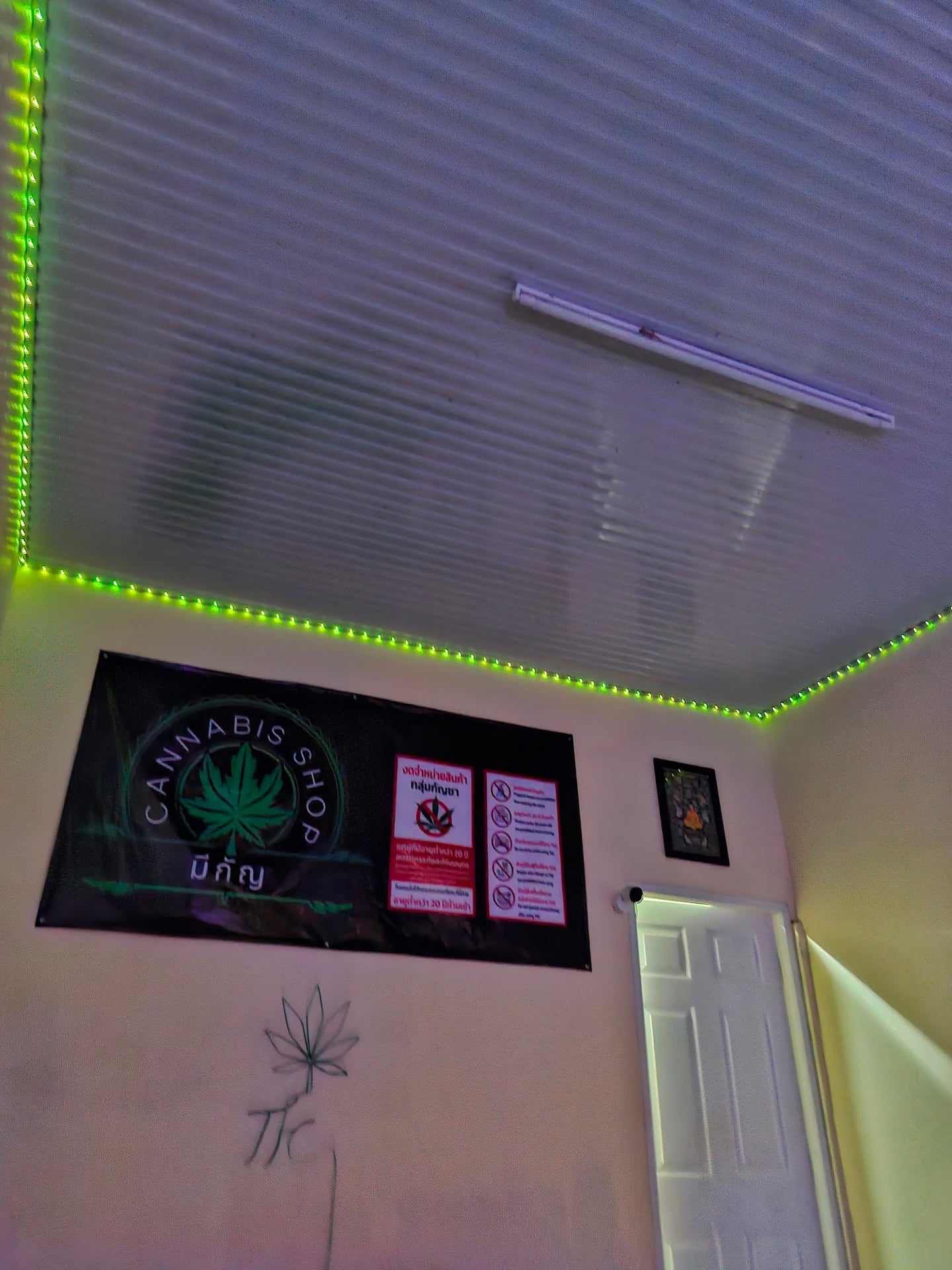 Weed Kingdom