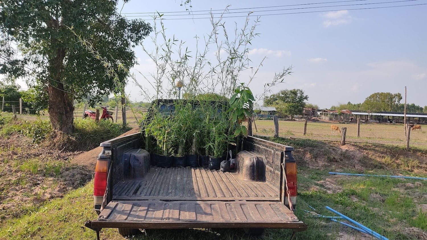 Buy Xum Farm