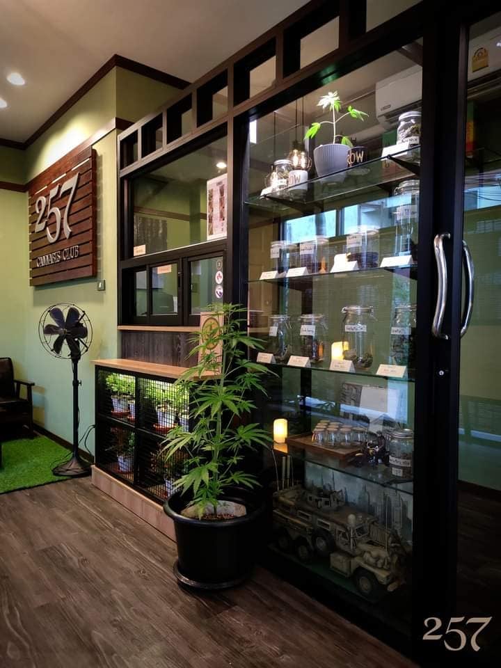 257 Cannabis