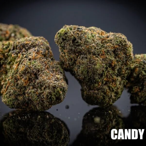 Cannabear