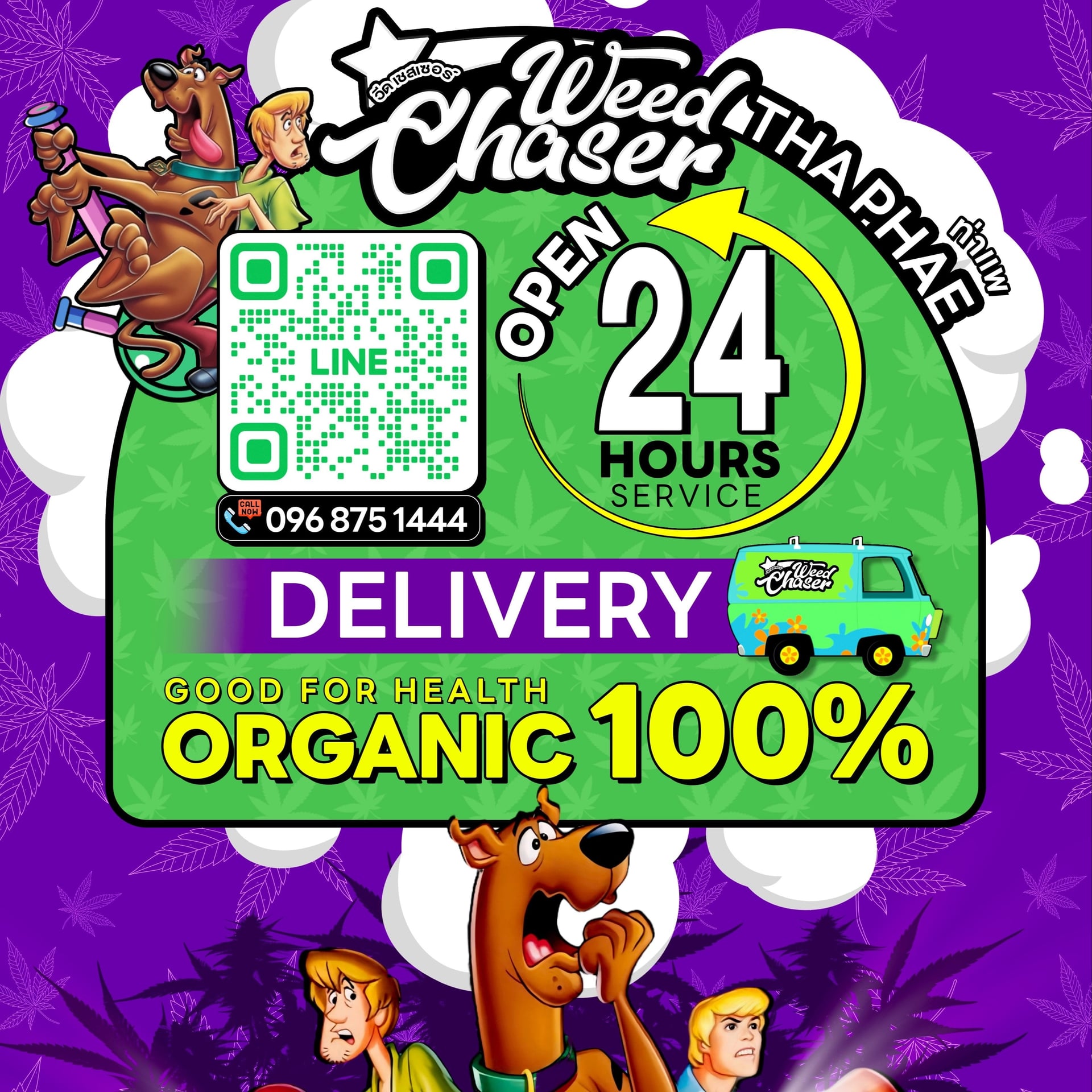 Weed Chaser - Weed Shop Cannabis Store 24Hr Thapae Gate CNX