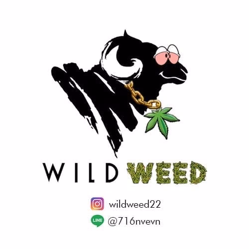 Cannabis Social Club Wild Weed in Chiang Mai logo