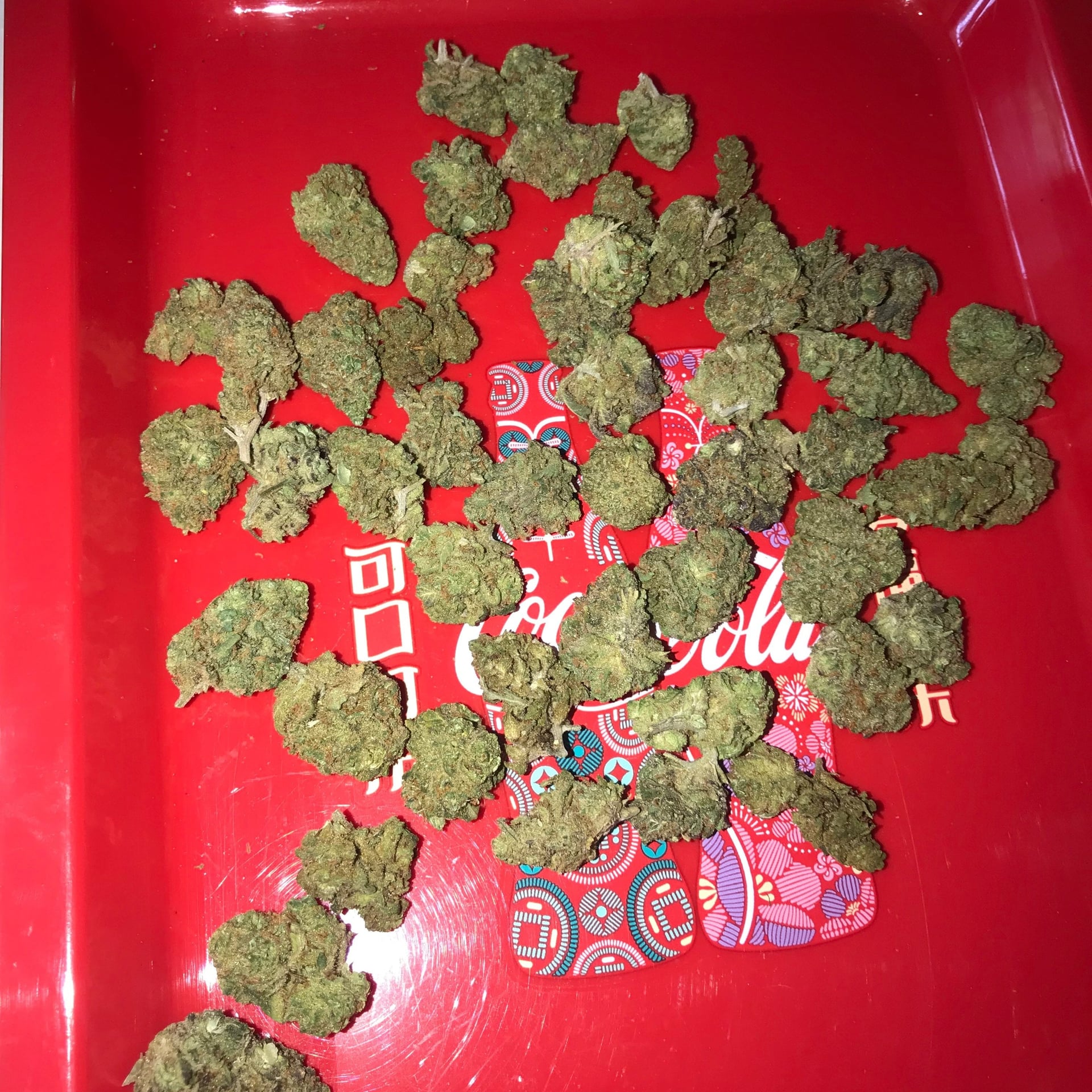 Weedman Phuket