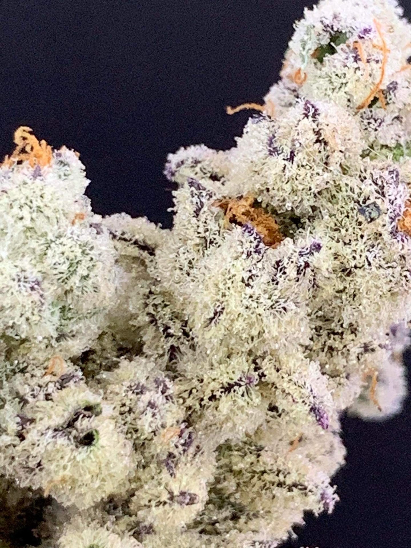 High Hello 420 Farm