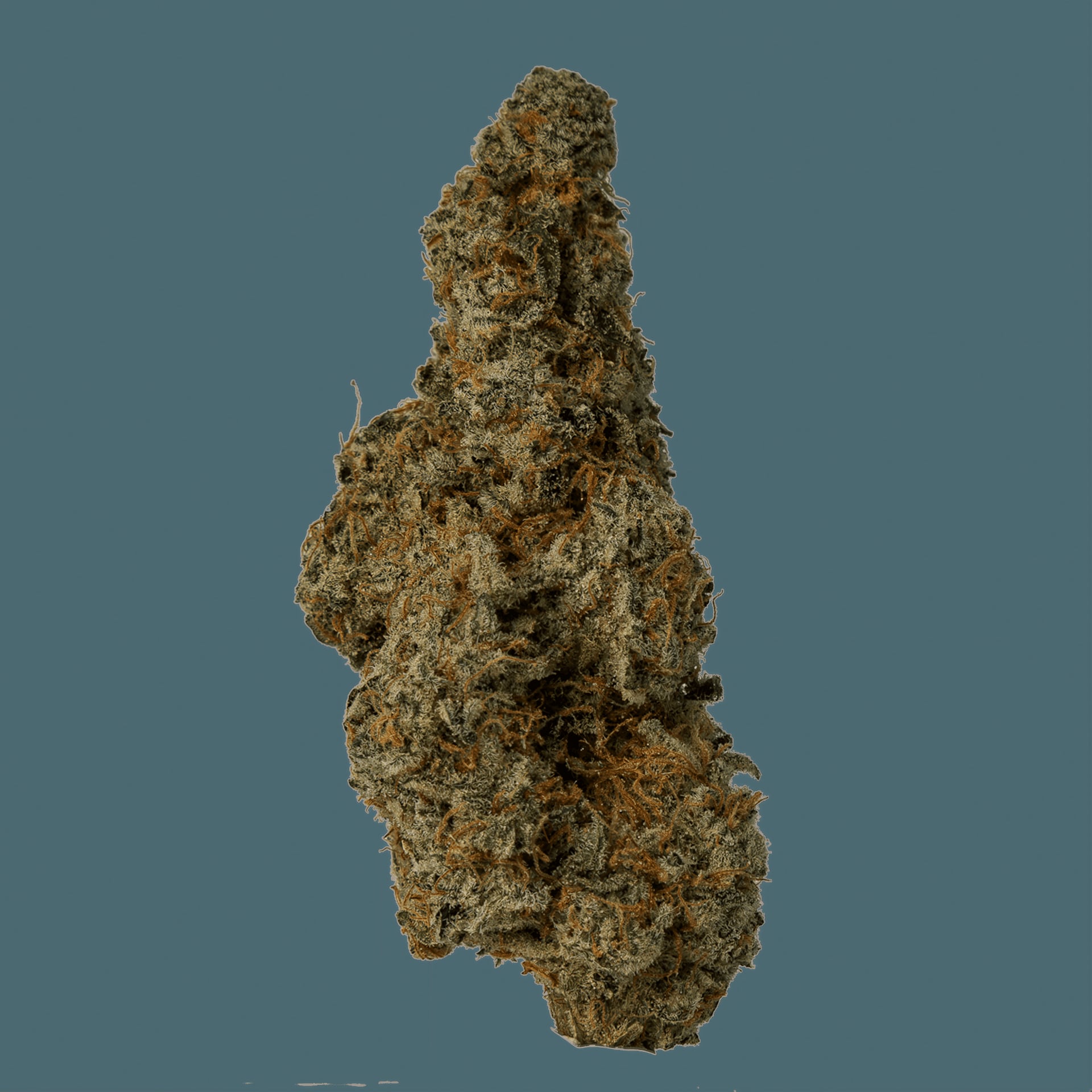 KushCPT