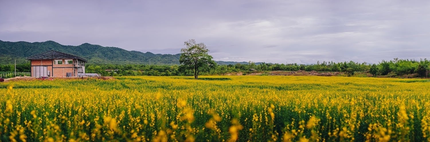 Pangtawan Valley