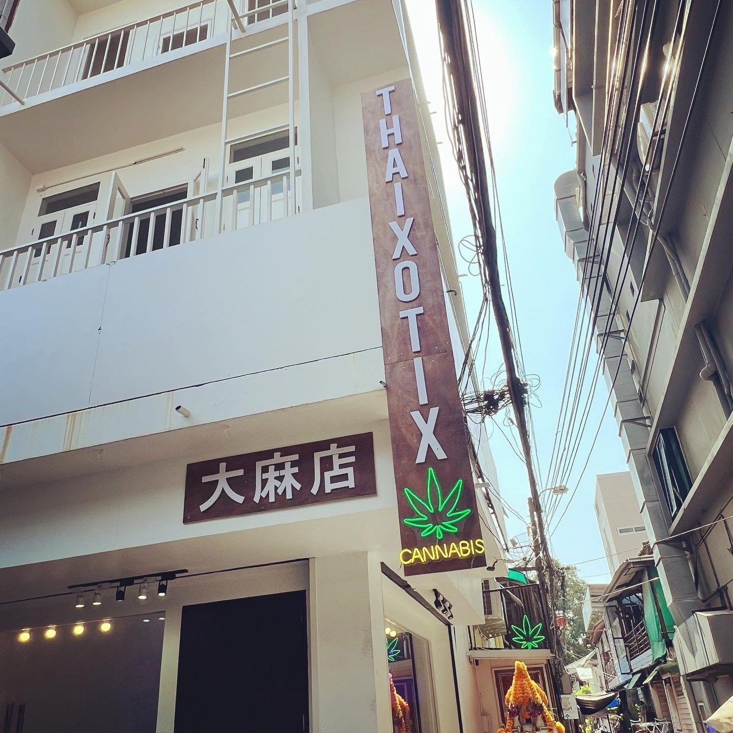 Thaixotix Cannabis