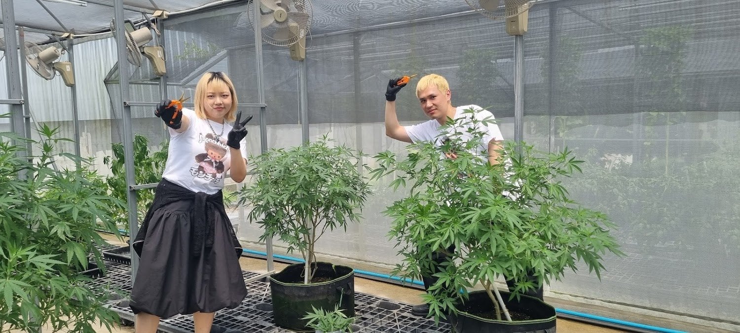 NGK Organic Farm And Cannabis Farm Tour