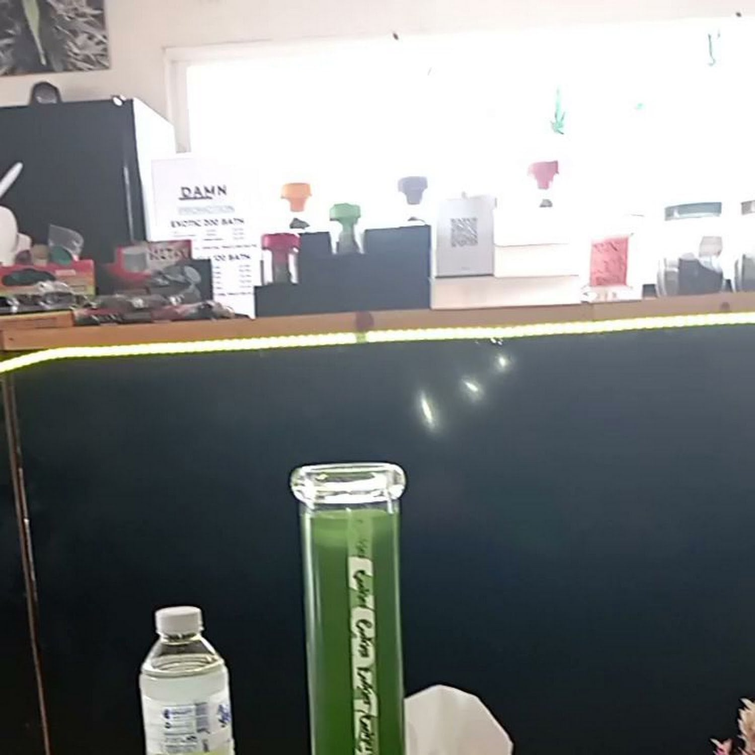 Dam'n Hight Cannabis Cafe'