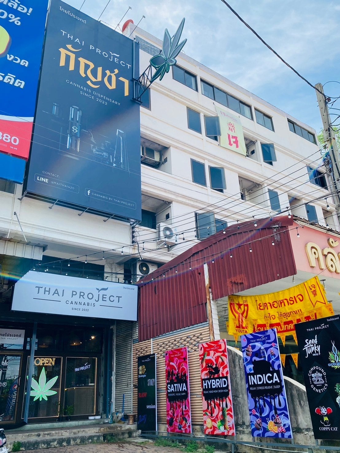 Cannabis By Thai Project