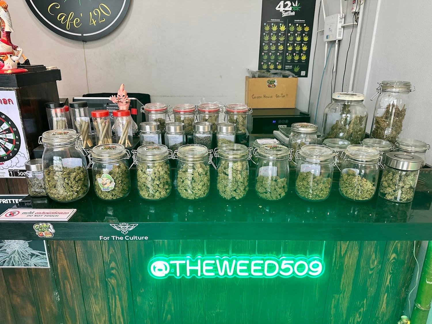 Cannabis 509 Cafe'