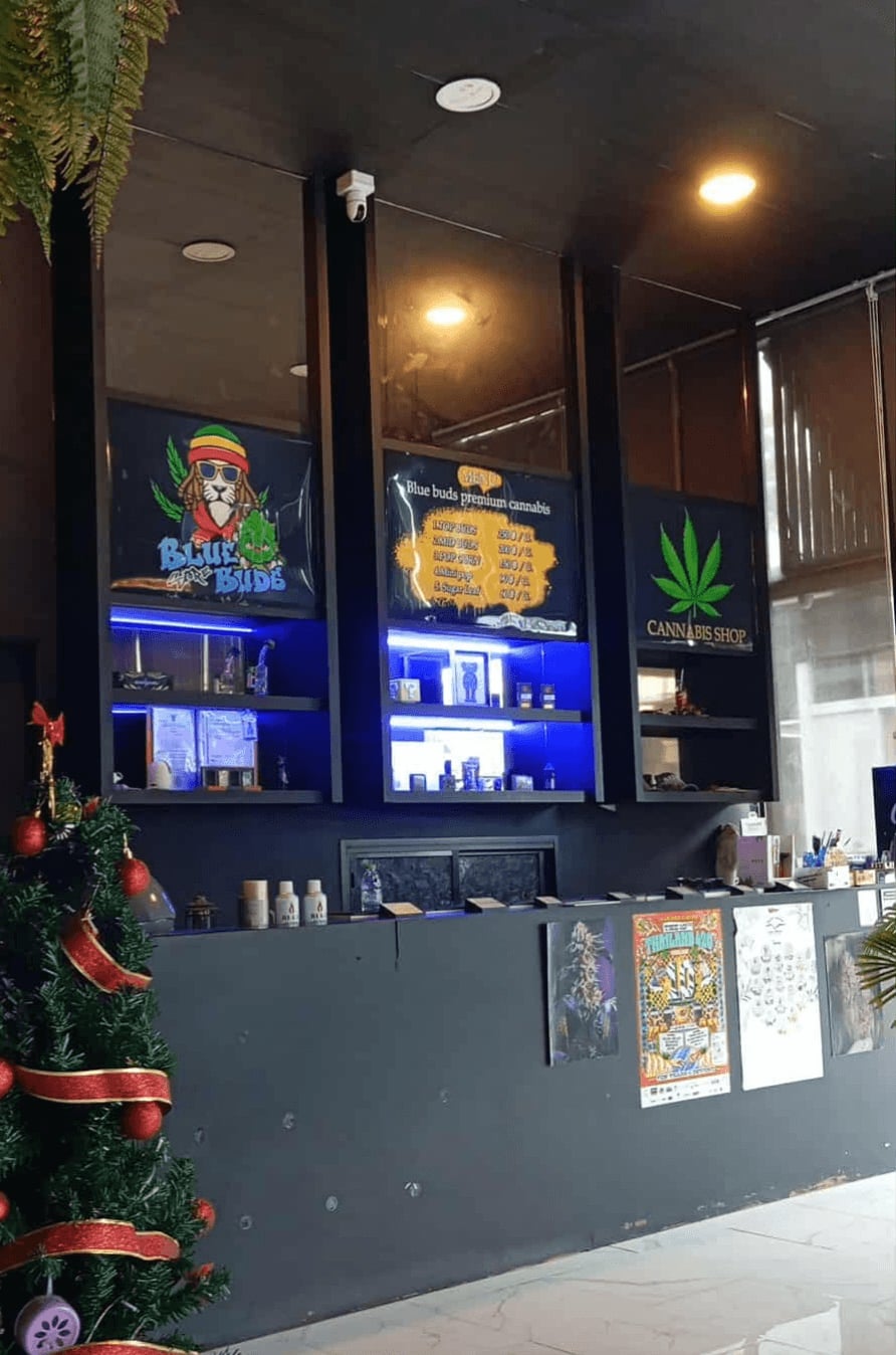 BluebudsStore