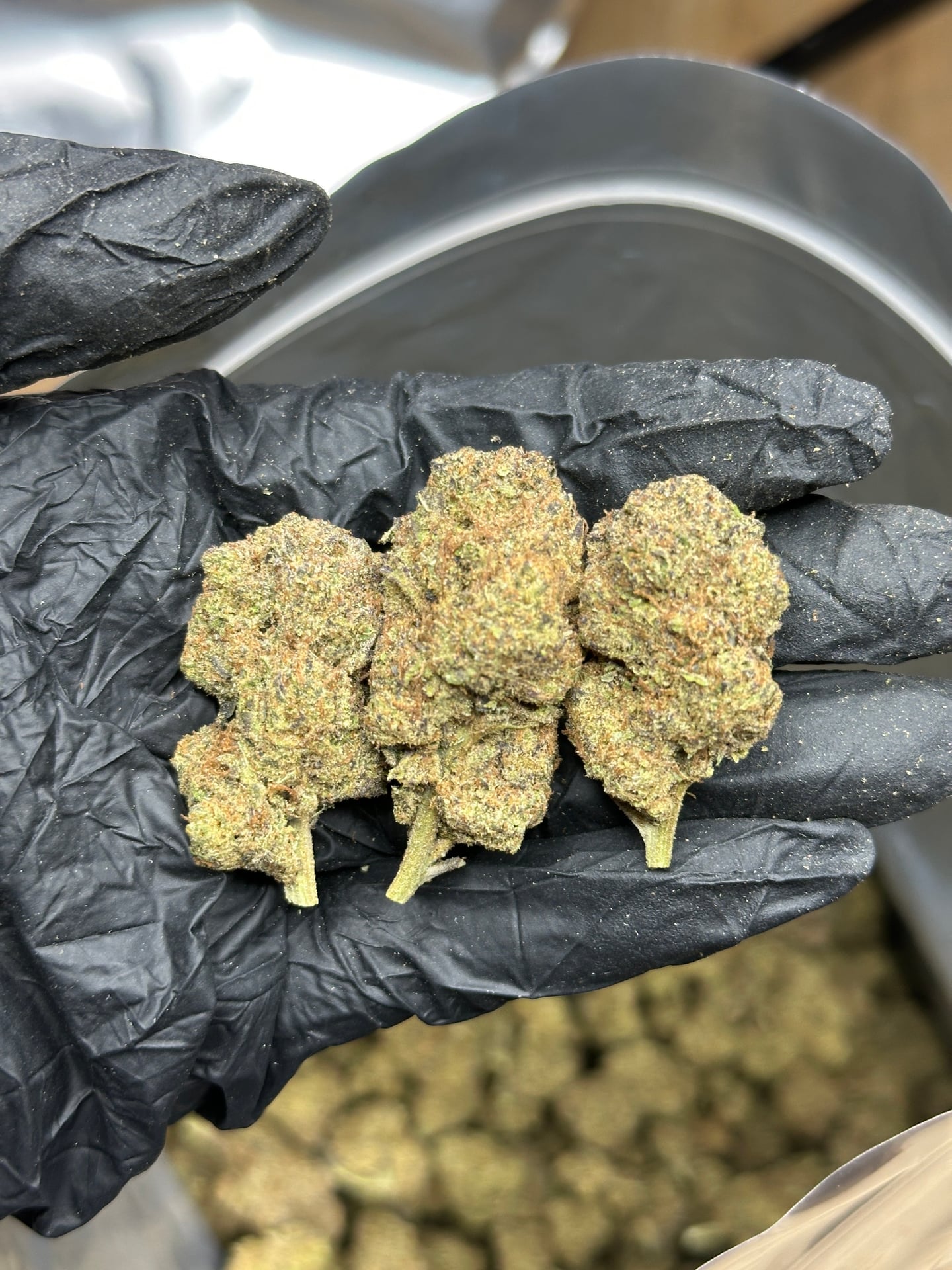Tidbae Cannabis