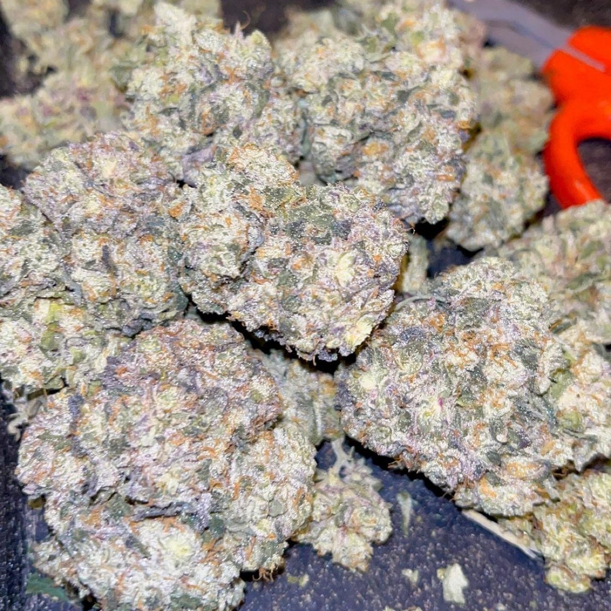 Fc Fresf Cannabiz