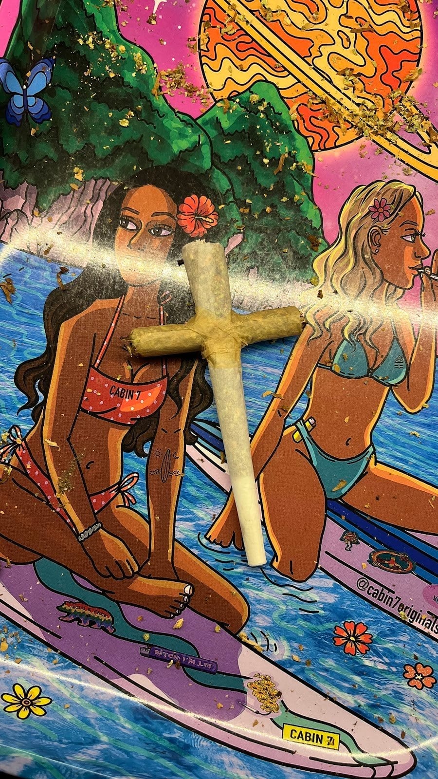 Cannaveda