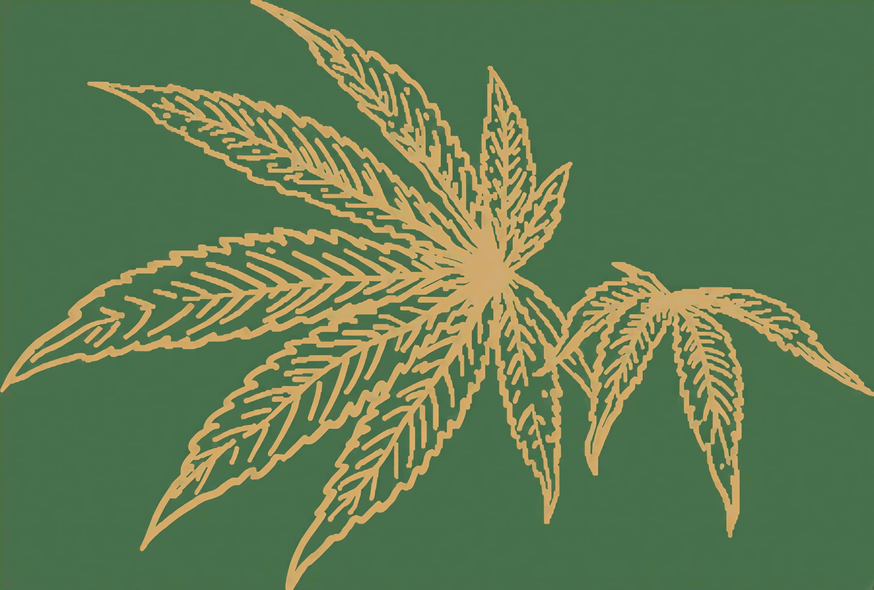 CSC Sativum E. V.