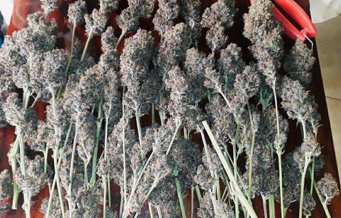 Ubonweed Farm