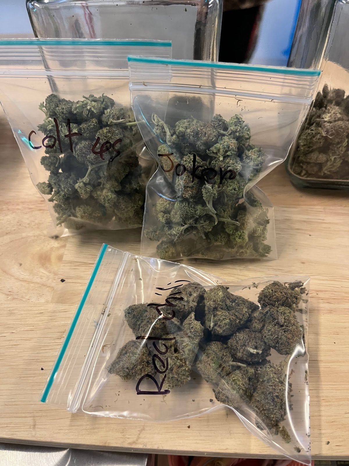 Bluedream Cannabis