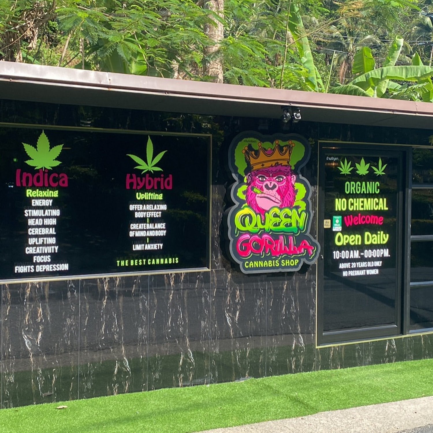 Queen Gorilla Cannabis