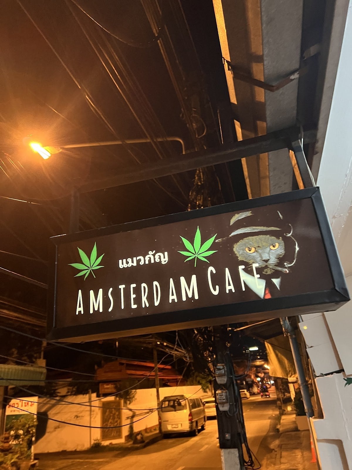 Weed Amsterdam Cafe Catnabis