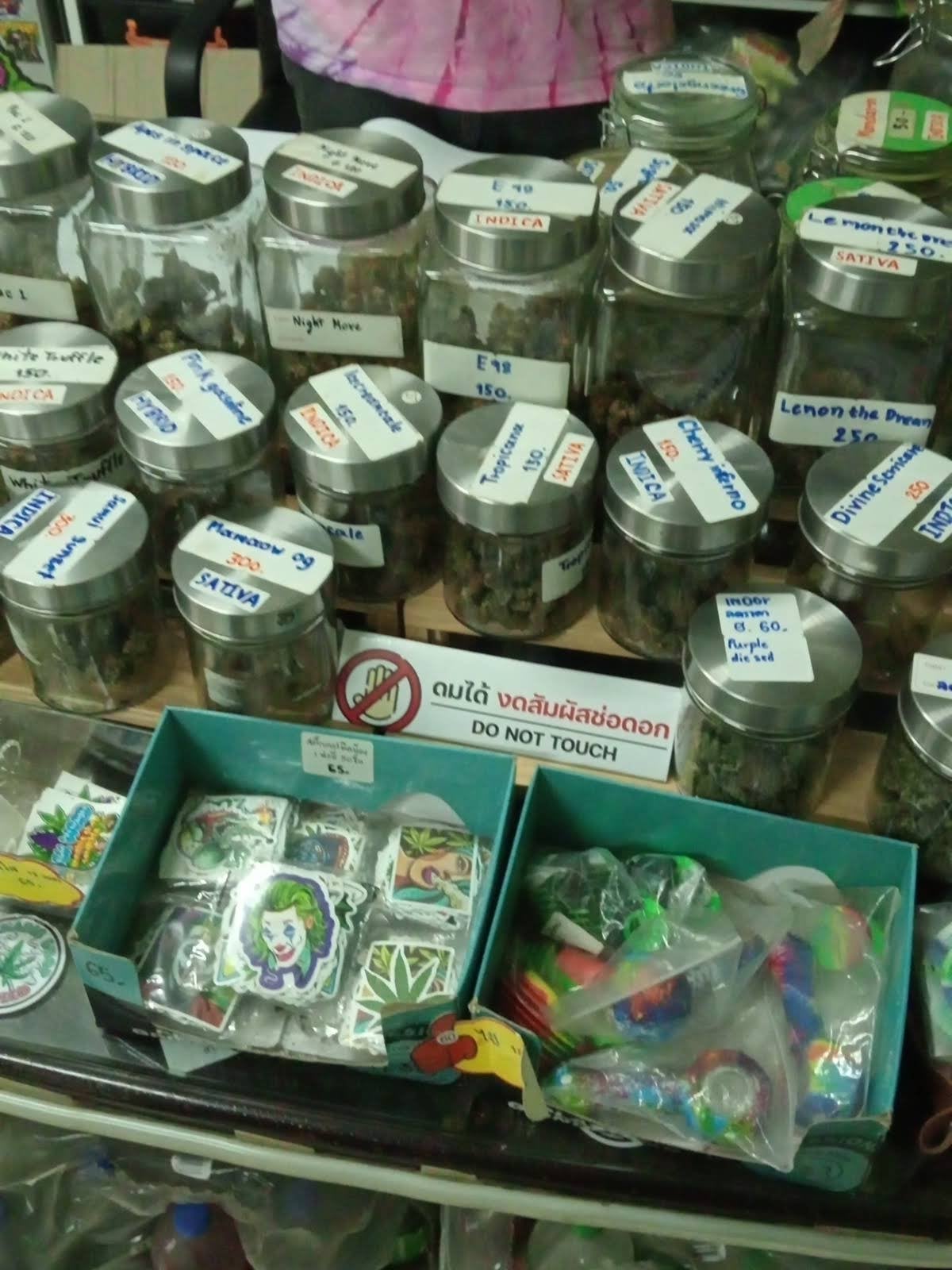 Rockweed Cannabis Shop Songkhla