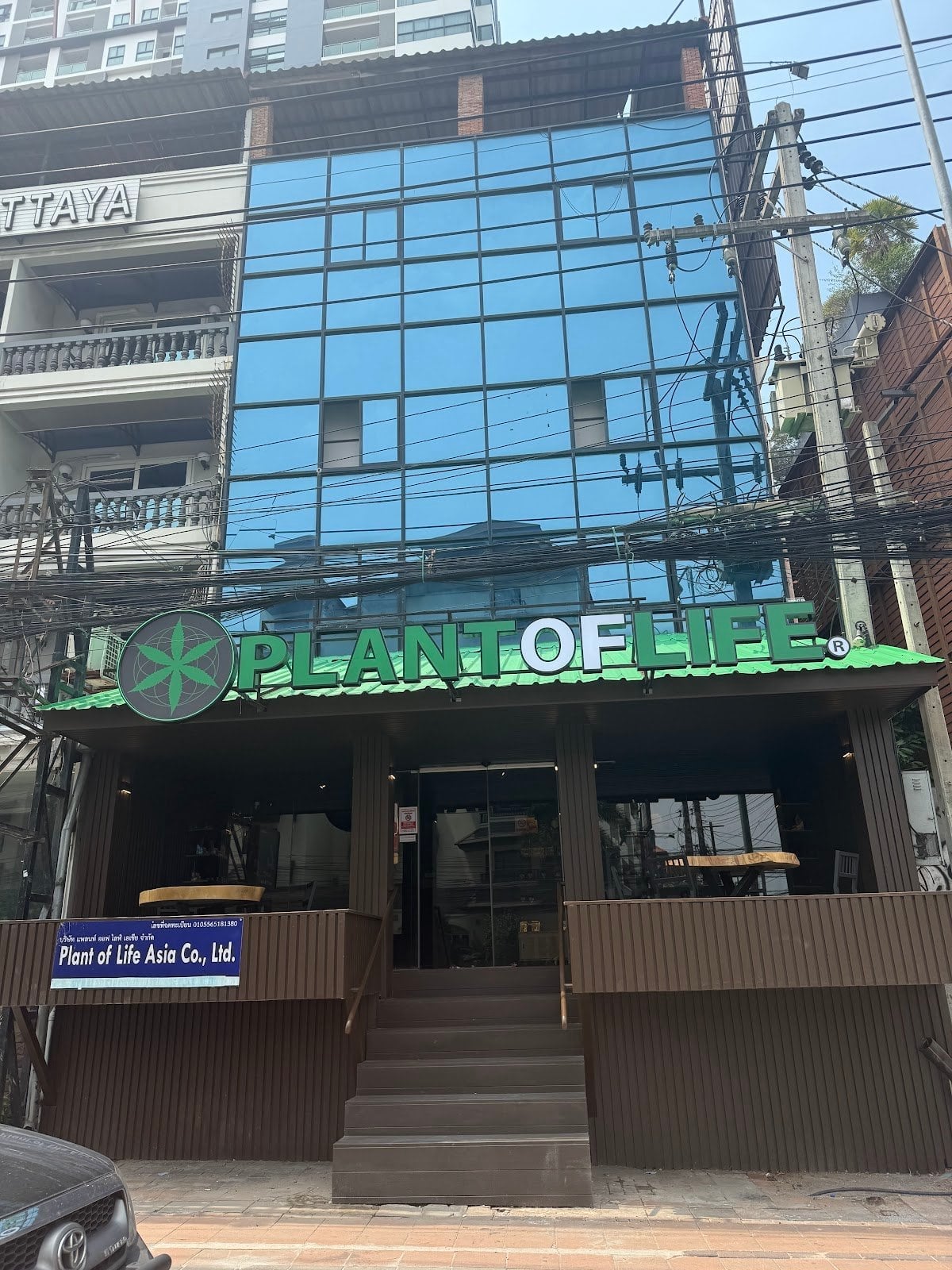 Plant Of Life Pattaya