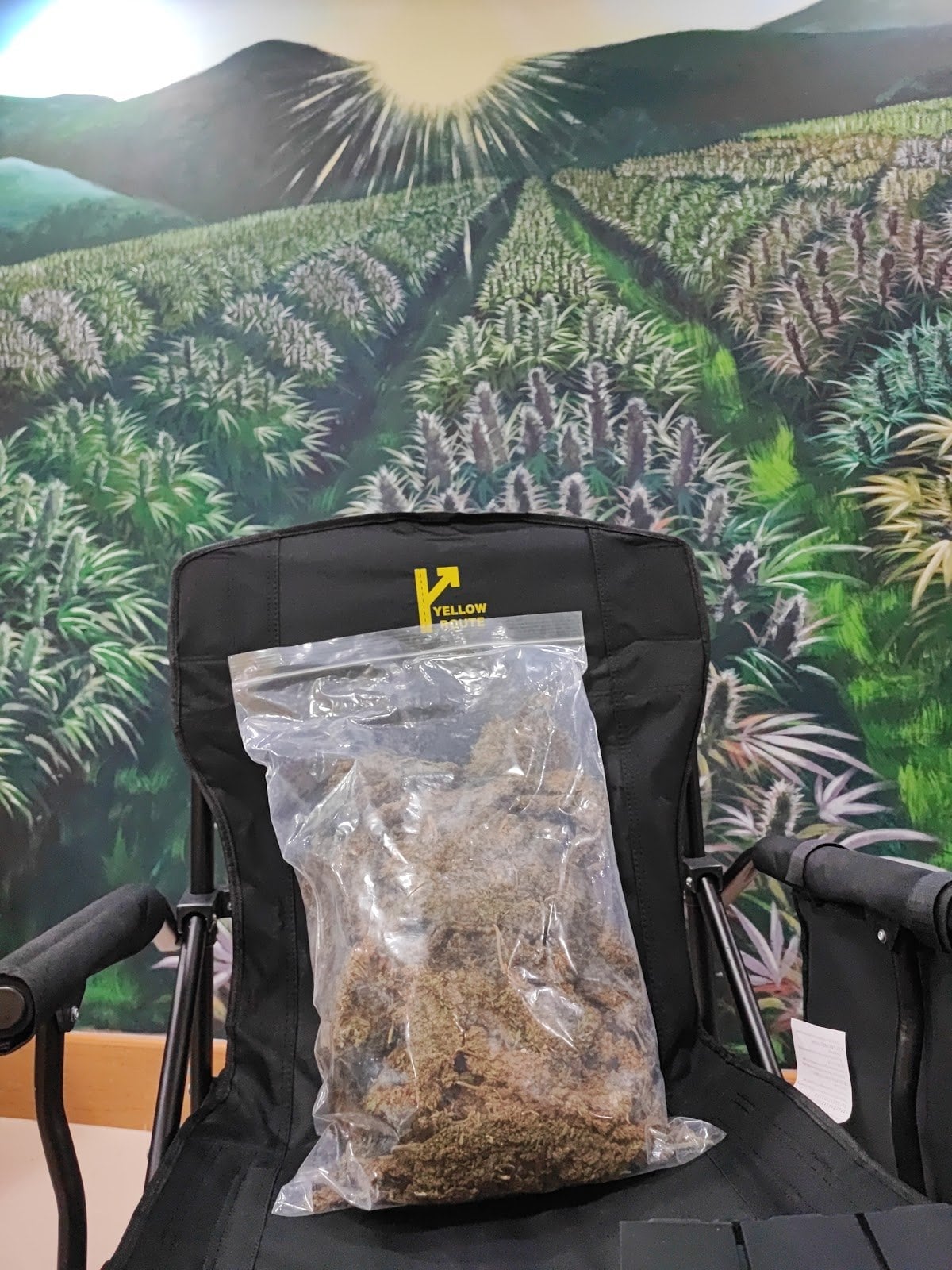 Thezoneweed