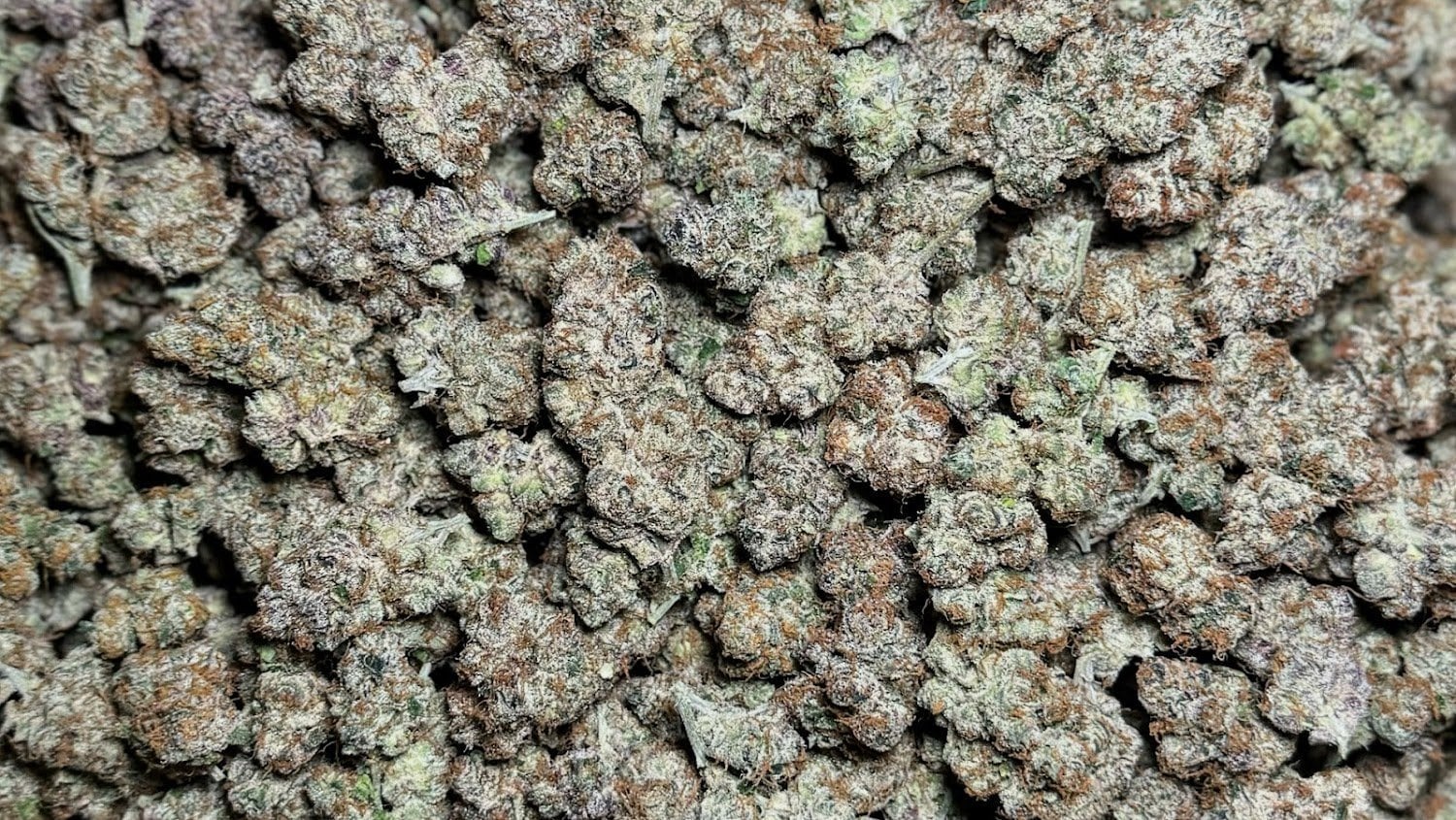Greenlungs