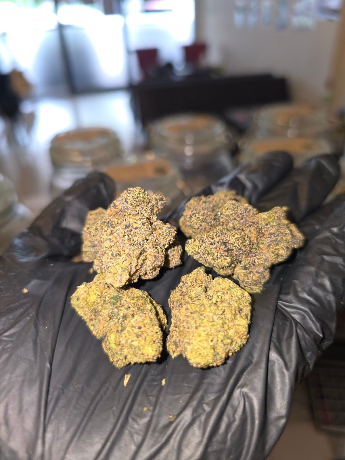 Highzone Cannabis