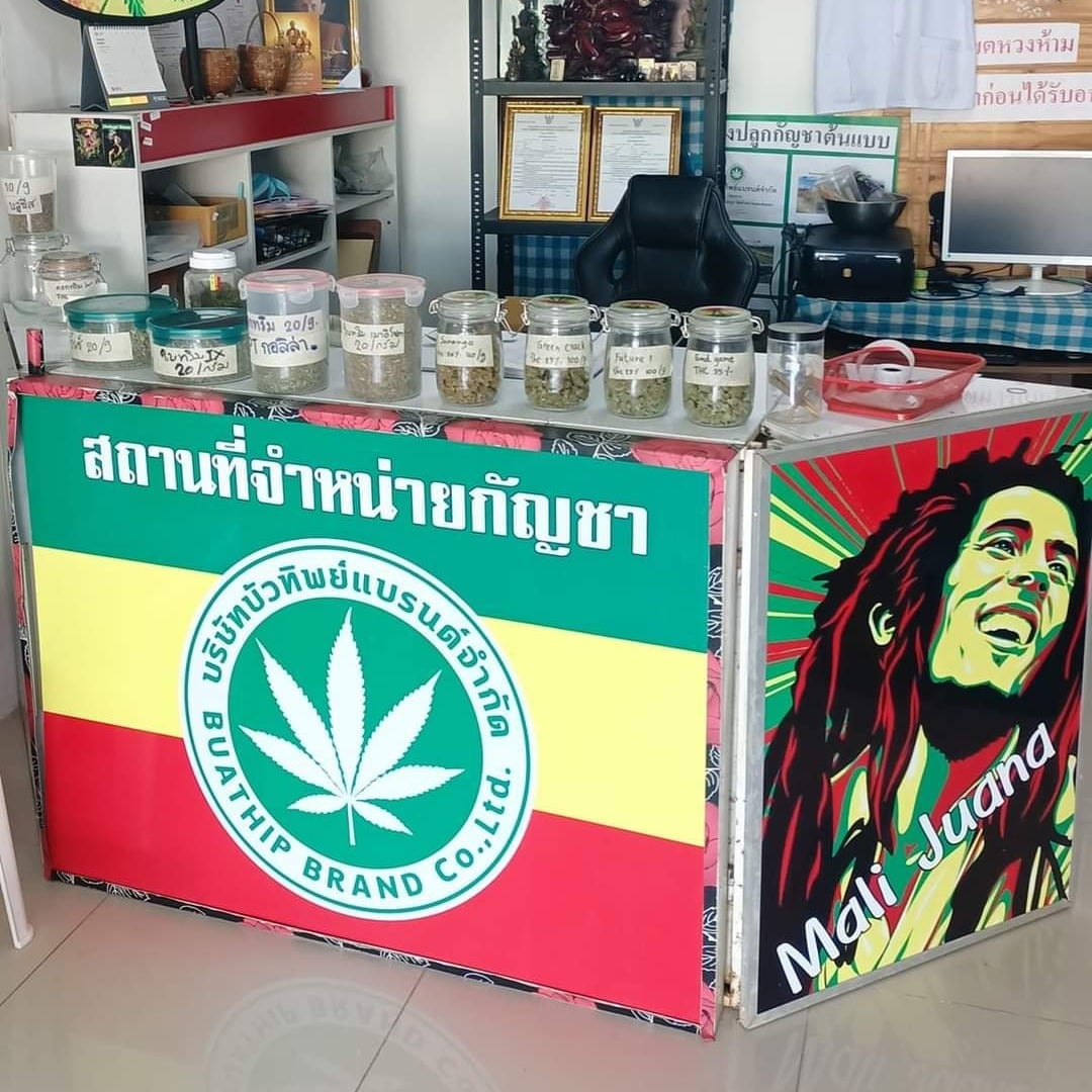 Buathip Canabis